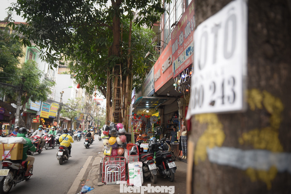 Đủ mọi thứ đồ được đóng, dán, bày xung quanh cây.