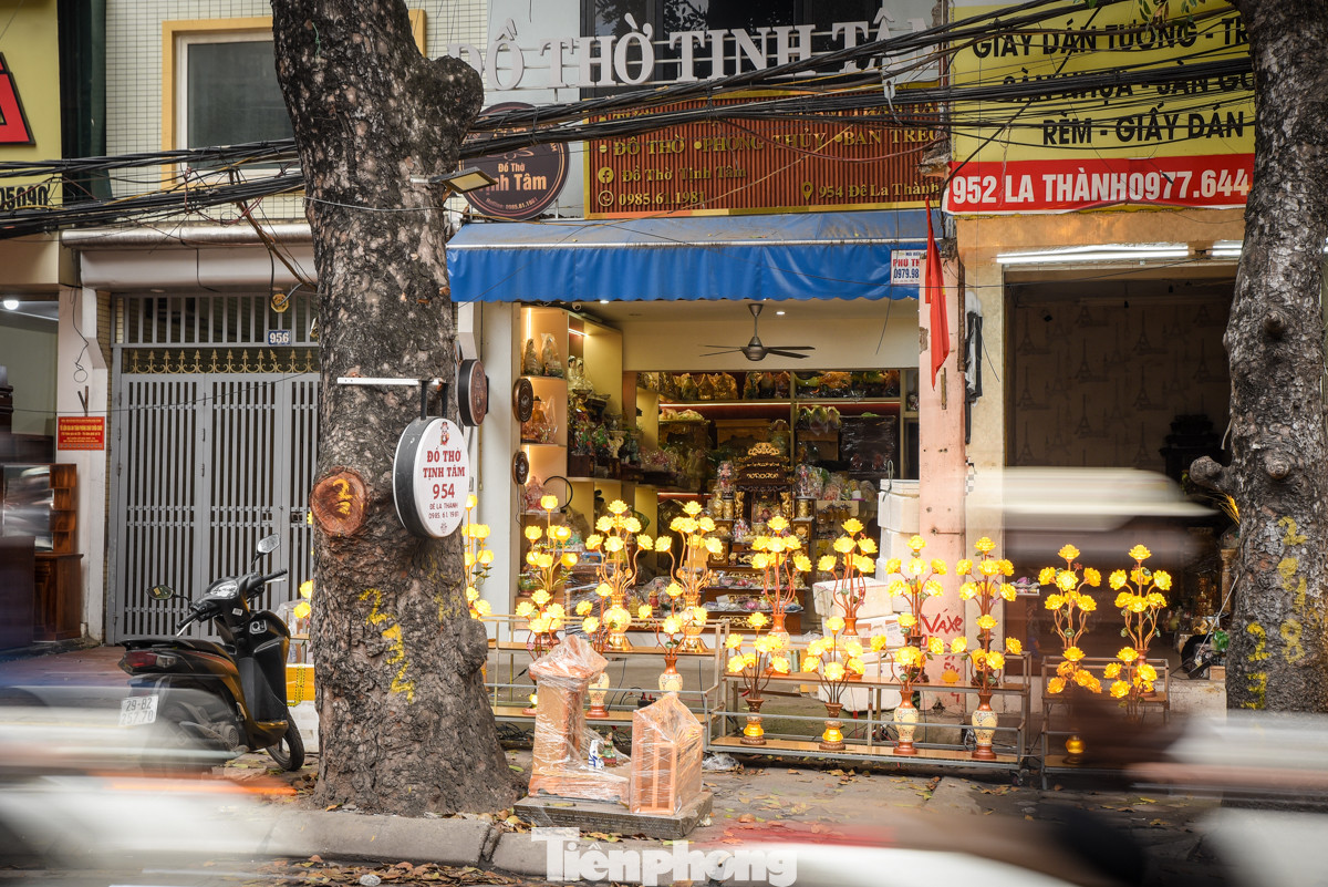 Biển hiệu quảng cáo được đóng đinh cố định trên cây trước cửa hàng trên đường Đê La Thành.