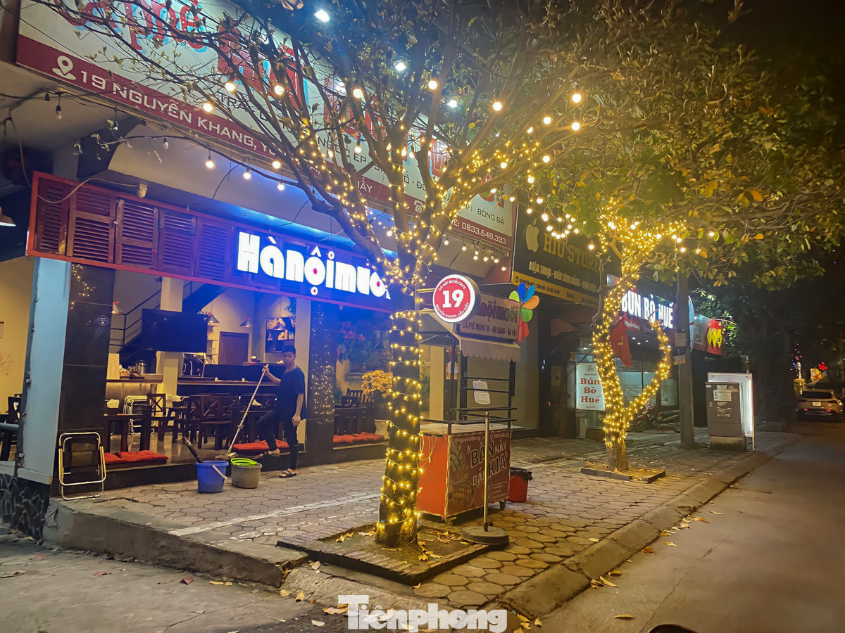 Quán cà phê, quán ăn xâm hại, quấn dây trang trí quanh cây.