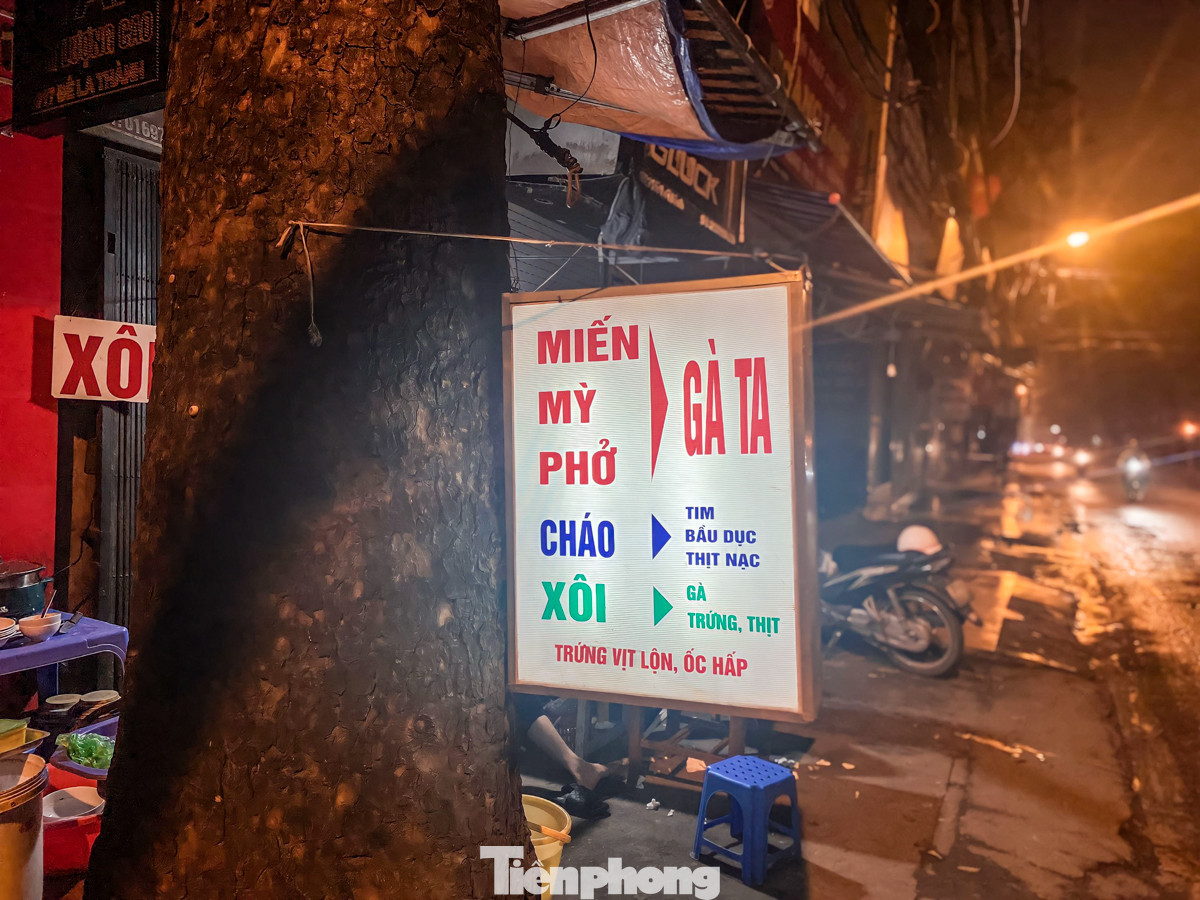 Về đêm, những biển hiệu ghim vào cây được người dân bật sáng nhằm thu hút khách hàng.