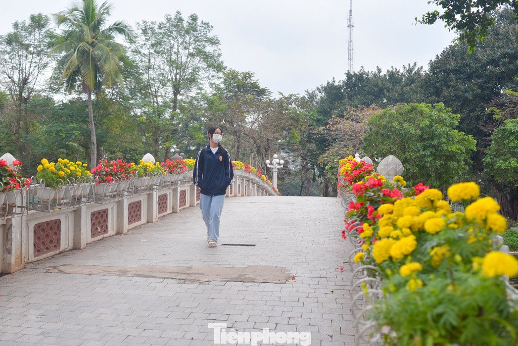 Tại công viên Thống Nhất, hai bên cầu được trang trí đầy hoa khiến cho ai đi qua đây đều hào hứng vì sắc Xuân đã về rất gần. Tại công viên Thống Nhất, hai bên cầu được trang trí đầy hoa khiến cho ai đi qua đây đều hào hứng vì sắc Xuân đã về rất gần.