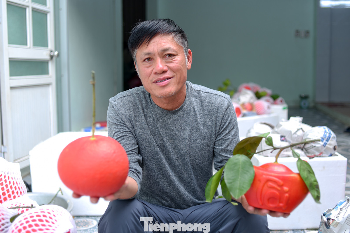 Ông Lương Văn Phương - Chủ tịch Hội đồng quản trị hợp tác xã bưởi đỏ Đông Cao chia sẻ: "Mỗi năm Tết đến, hợp tác xã chúng tôi bán ra khoảng 17-25 tấn bưởi ra thị trường. Vì phục vụ tâm linh nên bưởi đỏ được rất nhiều thương lái, tiểu thương đặt từ sớm, một số vườn ở xã chúng tôi đã được đặt trước hết".