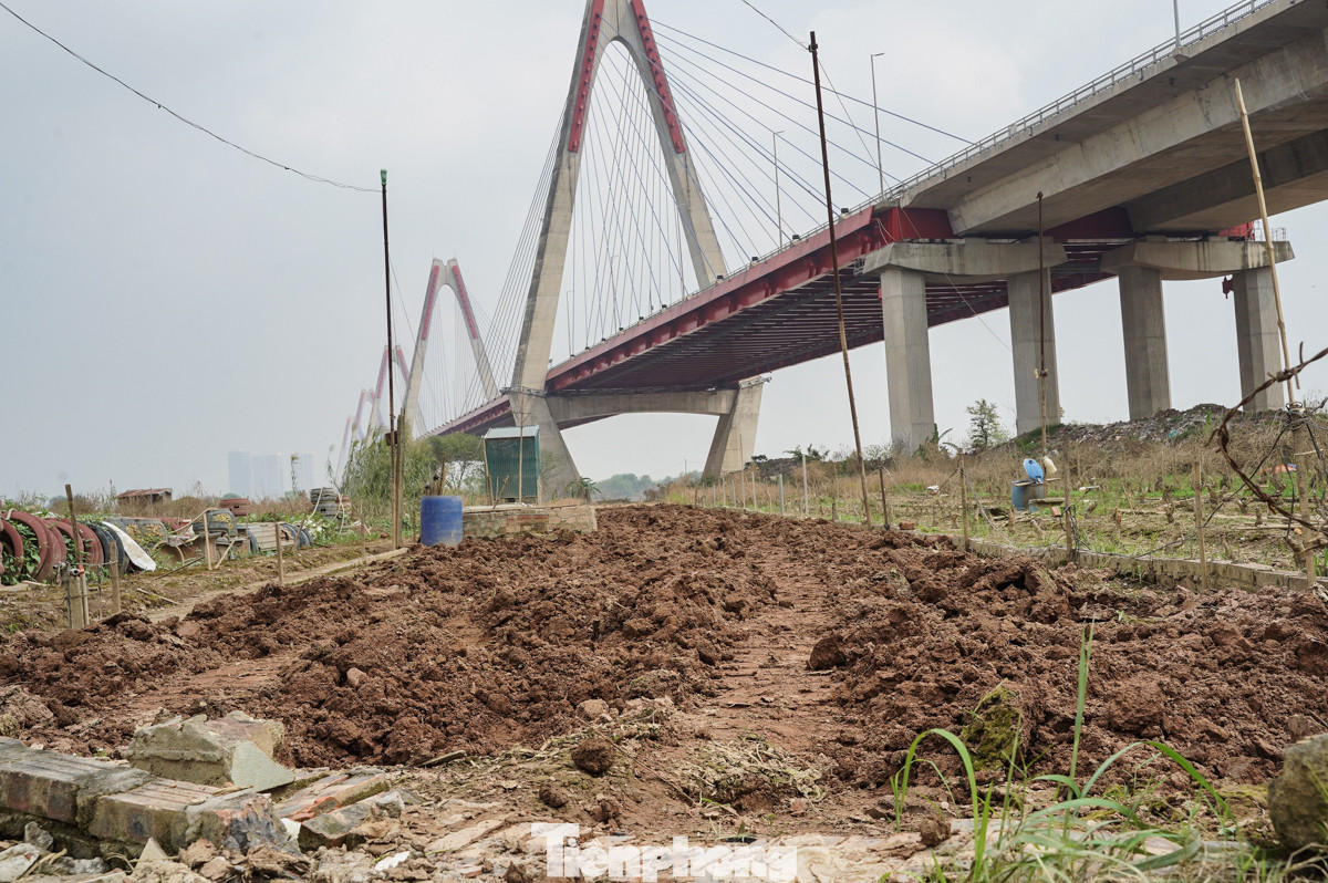 Những mảnh đất đã được làm tơi xốp sau khi lũ rút, sẵn sàng đón những mầm cây đào mới.