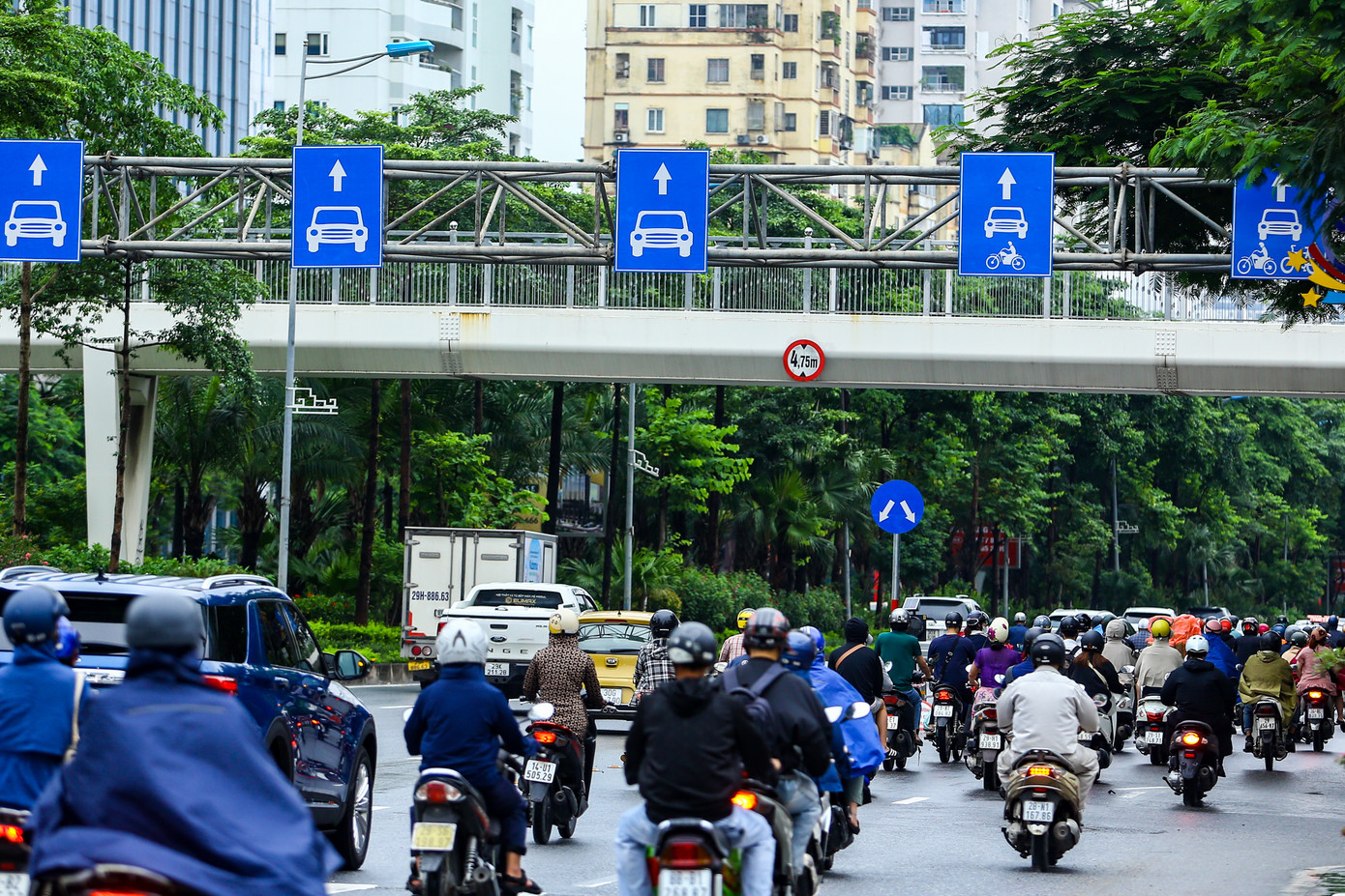 Theo phương án, ba làn ngoài sát dải phân cách giữa sẽ được bố trí làm làn riêng dành cho ô tô. Các làn còn lại phục vụ lưu thông hỗn hợp.