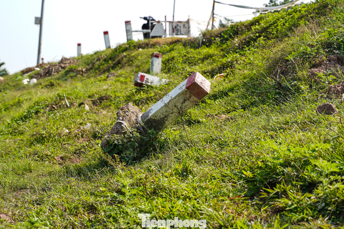 Mái đê sạt lở đã cuốn theo nhiều cọc mốc lộ giới.