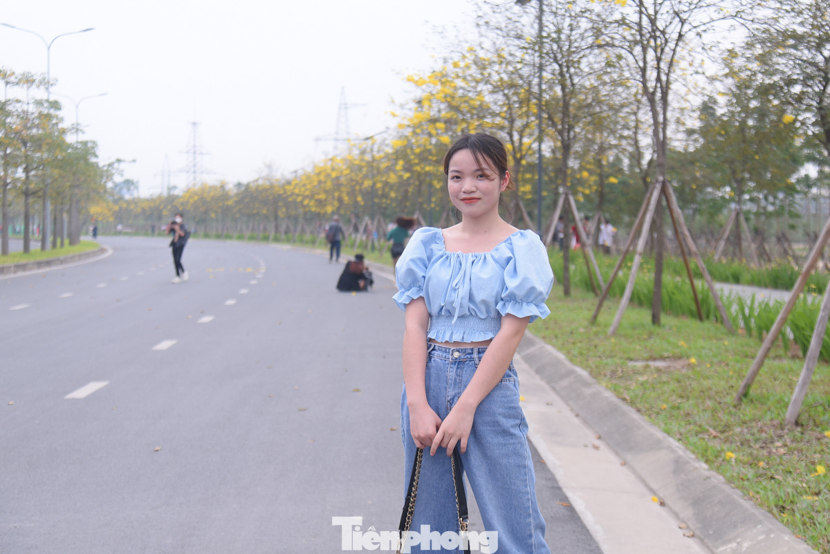 Bạn trẻ thích thú check-in với hoa phong linh rực vàng.