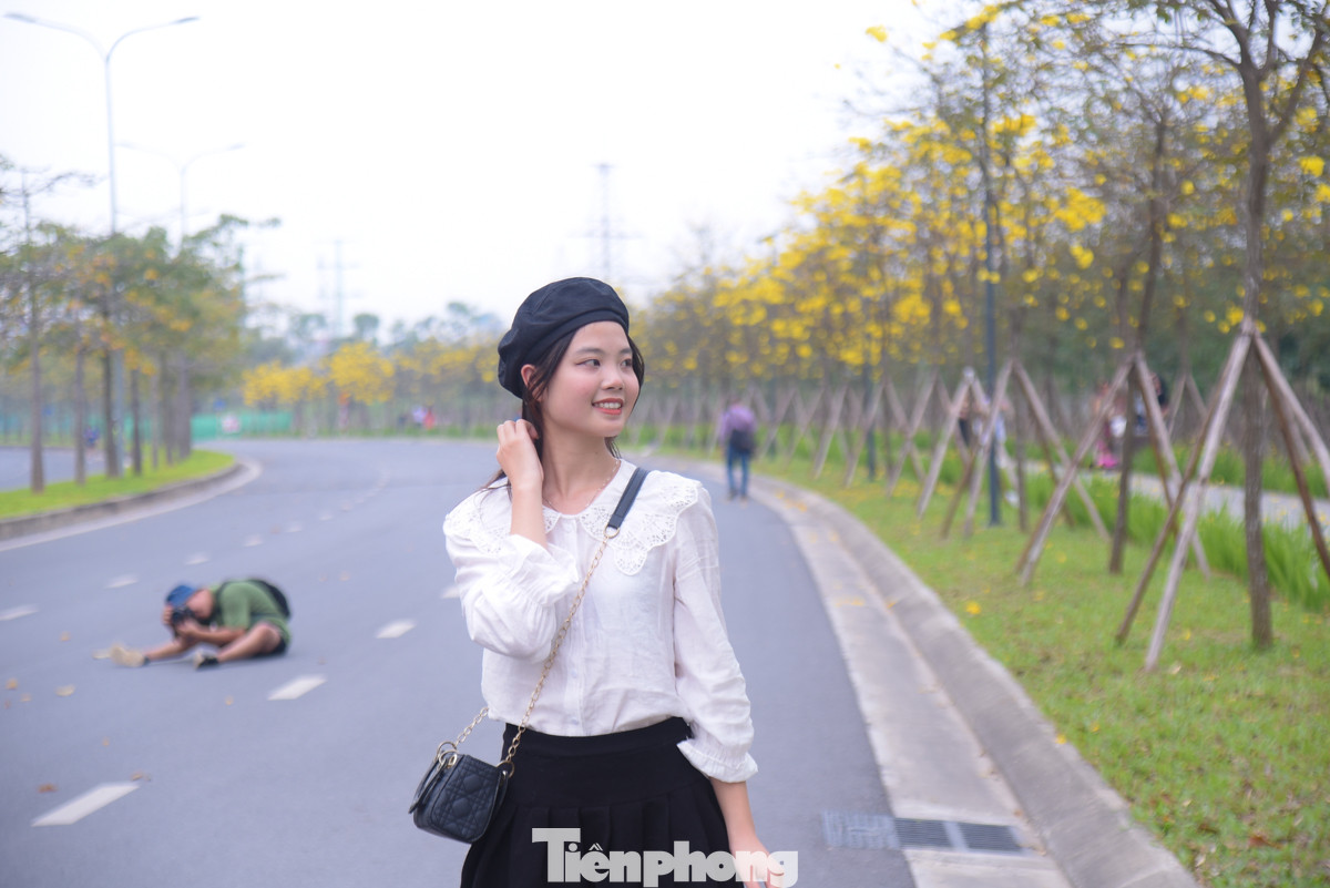 Bạn trẻ thích thú check-in với hoa phong linh rực vàng.