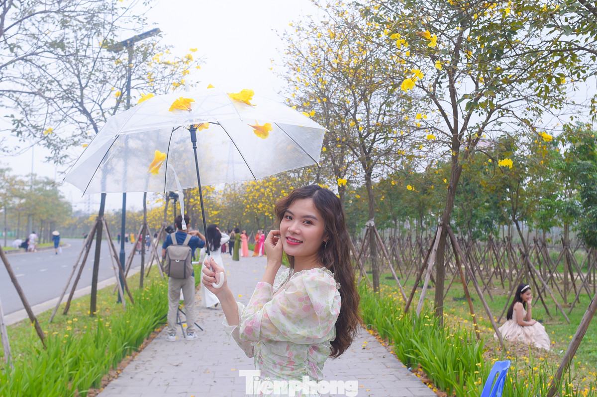 Nhiều thiếu nữ mặc trang phục nhẹ nhàng ghi lại những hình ảnh rực rỡ bên hàng hoa phong linh nở rộ.