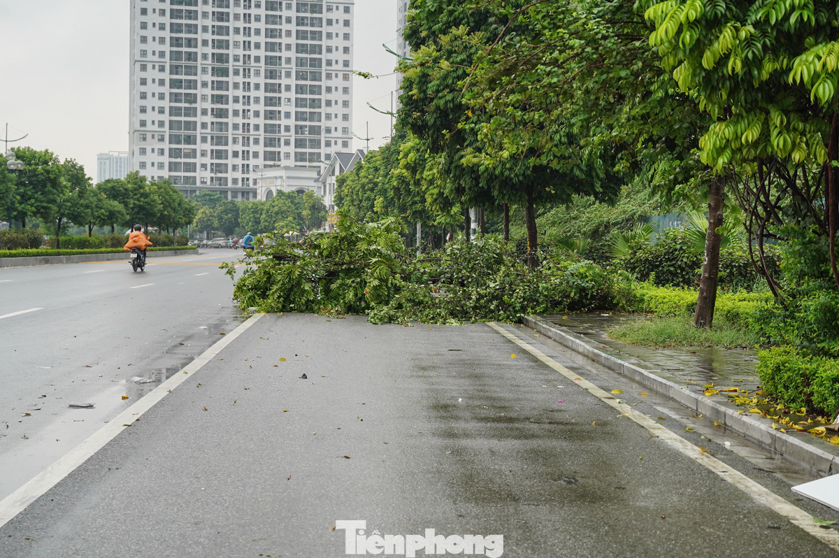 Một cây đổ ra chiếm 1/2 mặt đường gây ảnh hưởng đến việc đi lại của người dân