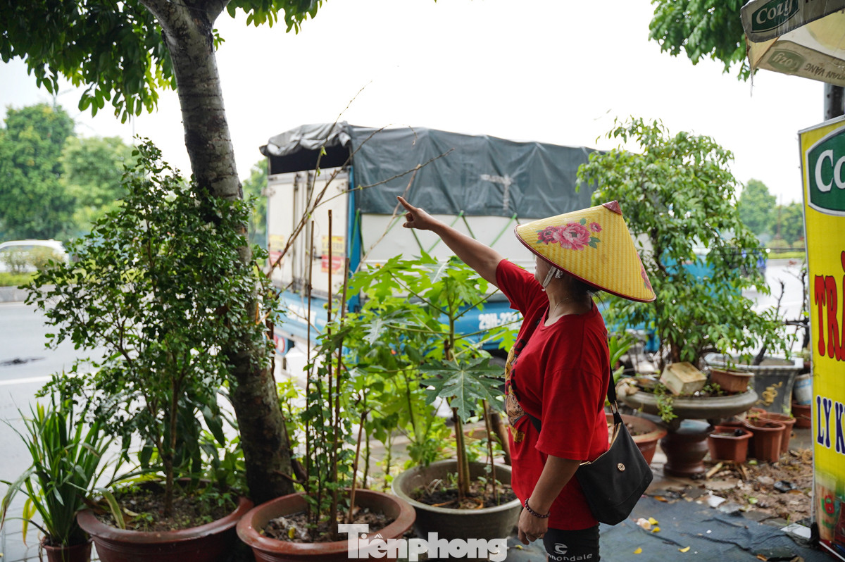 Chị D. (đường Xuân Phương) chỉ vào cây trước nhà cho biết, đêm qua gió to, một số cây xanh đã đổ. "Hiện tại cây trước cửa nhà tôi cũng nghiêng hẳn 1 bên, rất mong sớm được khắc phục tình trạng này".