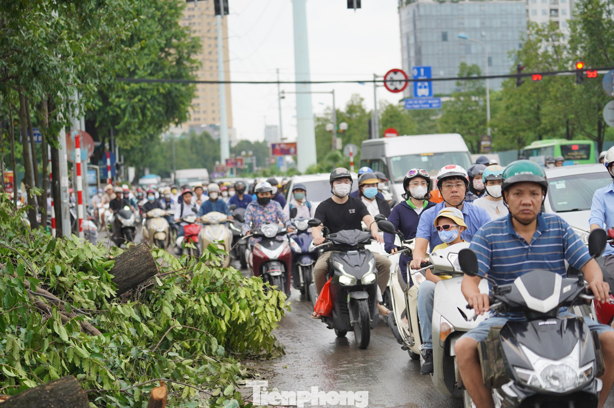 Cơn bão số 3 vừa qua đã khiến hàng chục cây xanh trên đường Tố Hữu bật gốc, đổ ngang. Một số đoạn đường bị cây cản trở, gây ách tắc giao thông.
