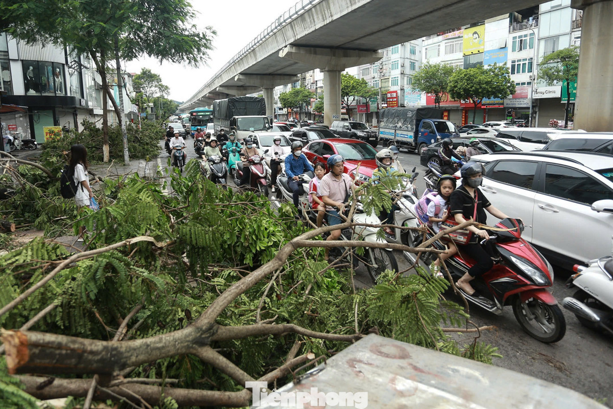 Đường Hồ Tùng Mậu, nhiều cây xanh trên vỉa hè chưa được dọn gây cản trở lối đi.
