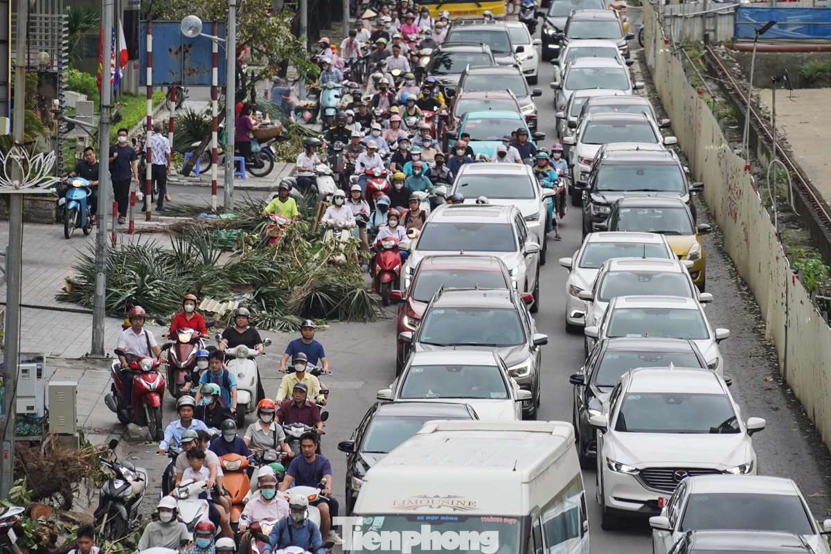Đường Kim Mã tắc cứng hơn 7h sáng nay, tại đây cây xanh bị đổ hầu hết đã được dọn gọn lên vỉa hè.