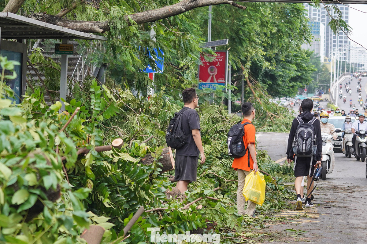 Cây cối la liệt trên đường Nguyễn Chí Thanh chắn hết trạm chờ xe buýt, người dân phải đứng dưới lòng đường chờ xe.