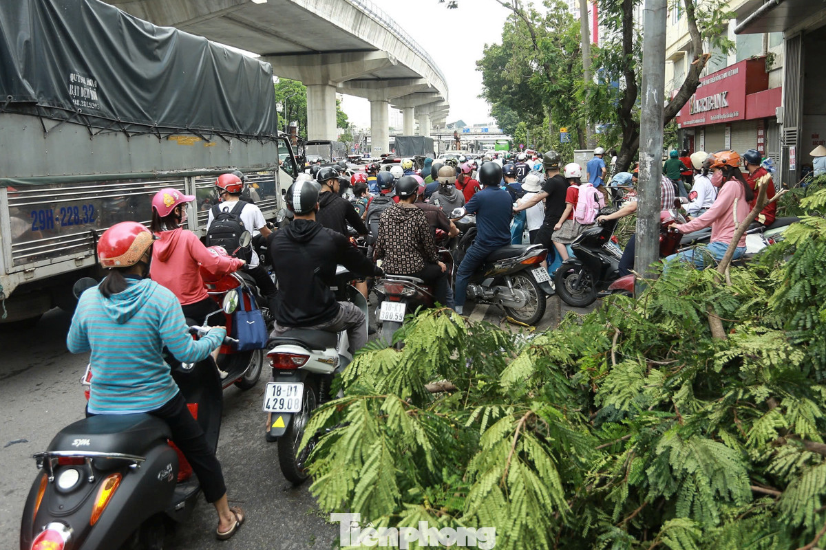 Đường Hồ Tùng Mậu, nhiều cây xanh trên vỉa hè chưa được dọn gây cản trở lối đi.