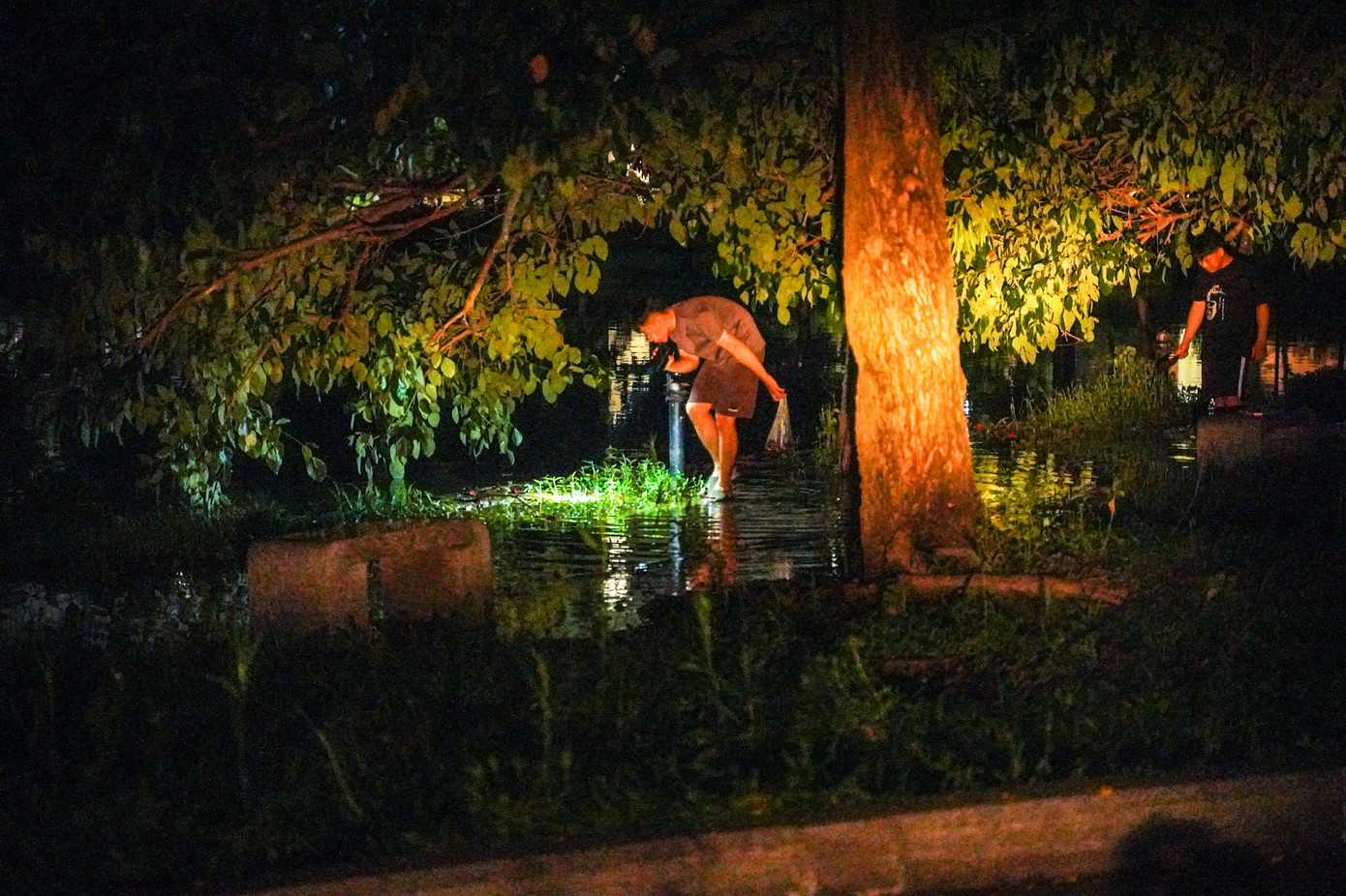 Tranh thủ nước ngập, nhiều người dân sống quanh khu vực đã mang theo xô, đèn pin… ra công viên để mò cá ngay trong đêm.