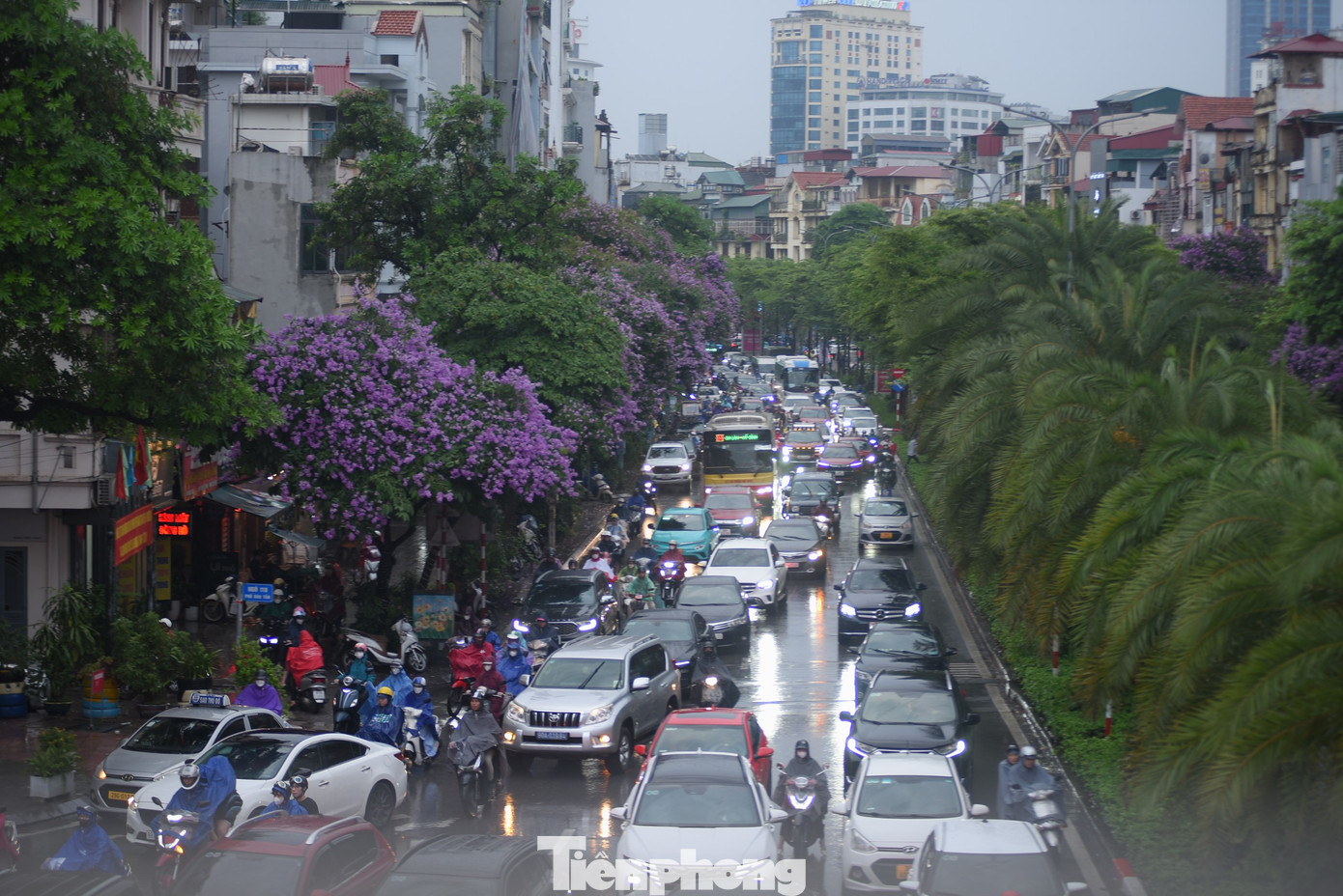 Dòng xe ô tô đan xen với xe máy nối đuôi nhau tìm đường về nhà dưới cơn mưa tầm tã trên đường Đào Tấn lúc 18 giờ.