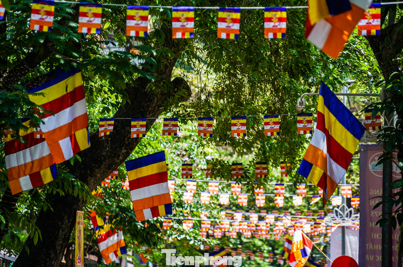Phố Lý Quốc Sư (quận Hoàn Kiếm) treo hàng trăm lá cờ Phật giáo.