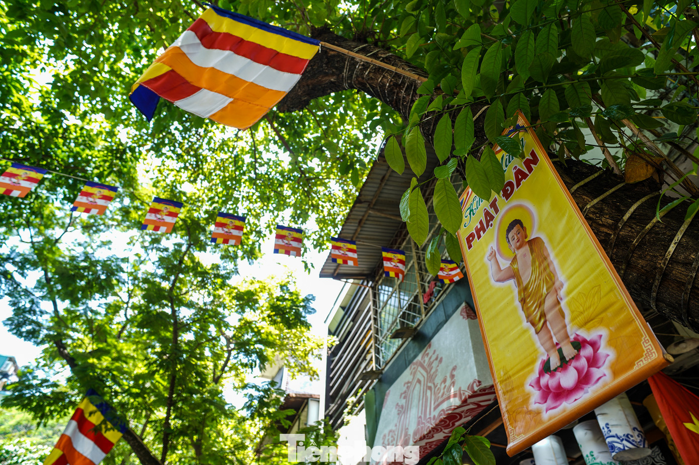 Phố Lý Quốc Sư (quận Hoàn Kiếm) treo hàng trăm lá cờ Phật giáo.