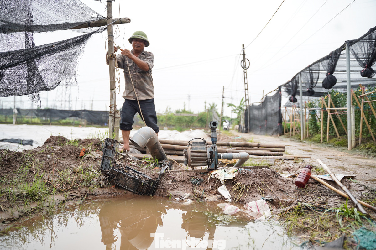 "Thật sự rất buồn hơn nửa tháng trước nước dâng cao, hoa nhà tôi cũng chết hết, phải trồng lại. Thế mà giờ thế này không biết tính ra sao", ông Lộc nói thêm.