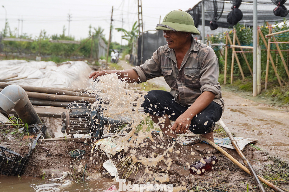 Nhiều người trồng hoa phải túc trực từ sáng để xây bờ, xả nước, cứu những vườn hoa khỏi cảnh ngập úng quá lâu. "Từ đêm hôm qua tôi đã bơm nước đến hơn 9 giờ hôm nay mới bớt đi phần nào. Hoa thì cũng mất chết rồi, không thể cứu được", ông Nguyễn Khắc Lộc (Làng hoa Tây Tựu) chia sẻ.