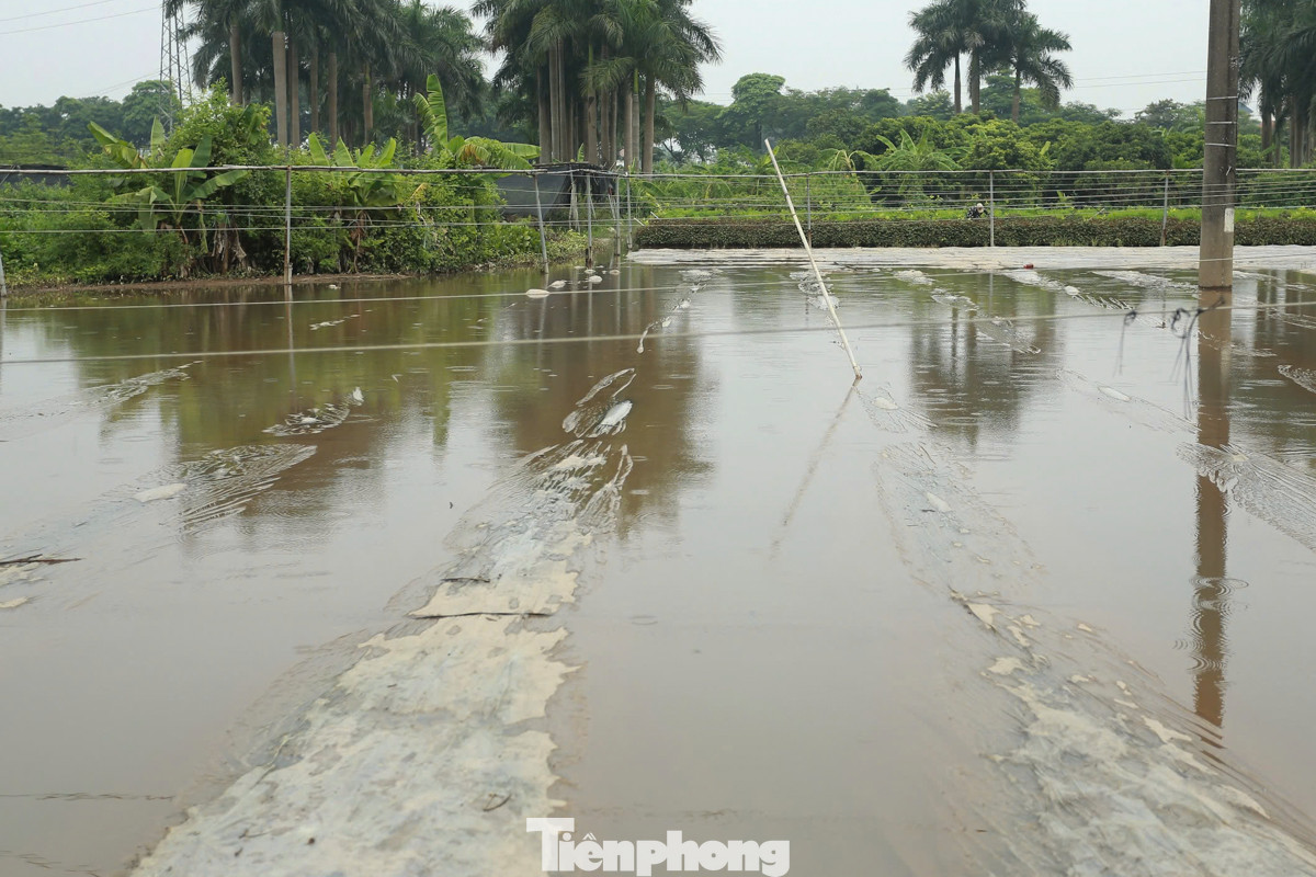 Theo Trung tâm Dự báo Khí tượng Thủy văn Quốc gia, ngày mai 25/8/2024, thời tiết khu vực Hà Nội nhiều mây, có mưa, đêm và sáng mưa vừa, có nơi mưa rất to.