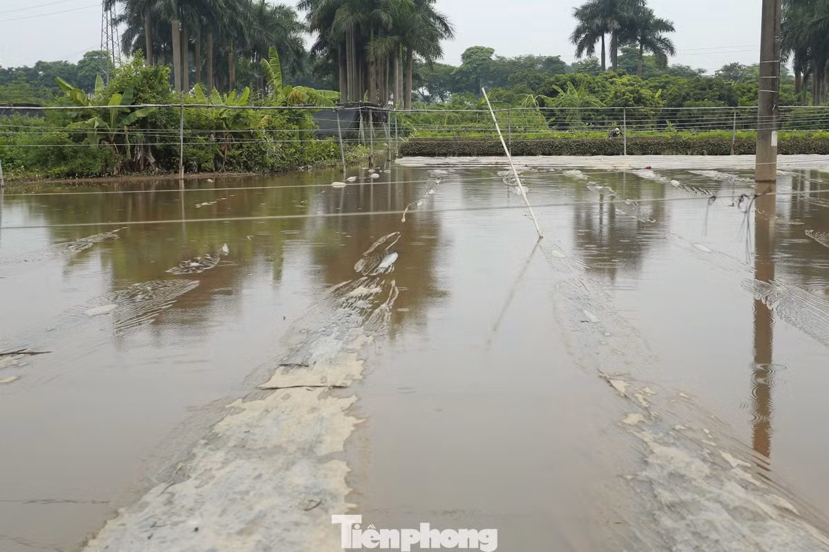 Theo Trung tâm Dự báo Khí tượng Thủy văn Quốc gia, ngày mai 25/8/2024, thời tiết khu vực Hà Nội nhiều mây, có mưa, đêm và sáng mưa vừa, có nơi mưa rất to.