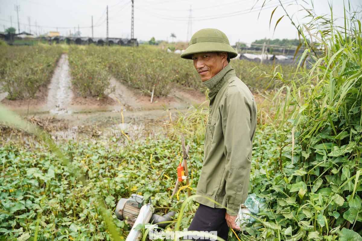 Người trồng hoa cố gắng bơm nước ra khỏi vườn.