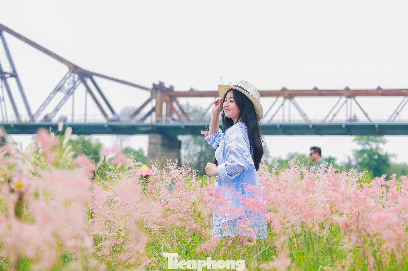 Giữa cánh đồng cỏ hồng bạt ngàn – loài hoa dại thường gợi nhớ đến vẻ đẹp thơ mộng của Đà Lạt. Hiện khu vực này đang mở cửa miễn phí để người dân và du khách tham quan, chụp ảnh.