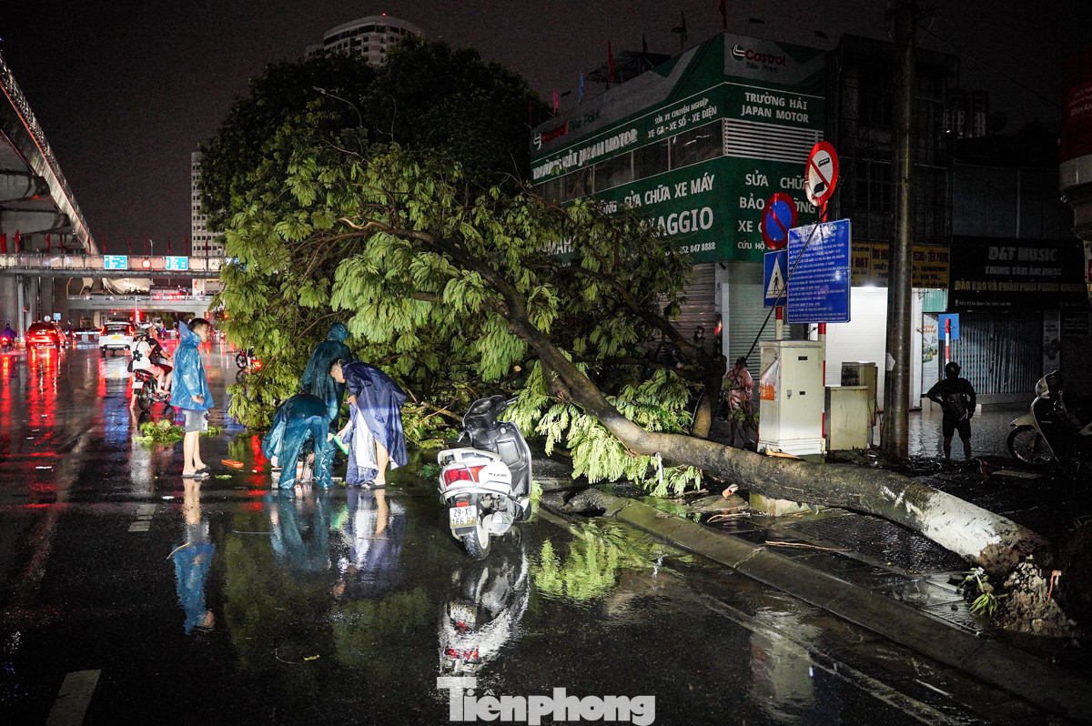 Cách đó chưa tới 50m, một cây xanh to cũng đổ.