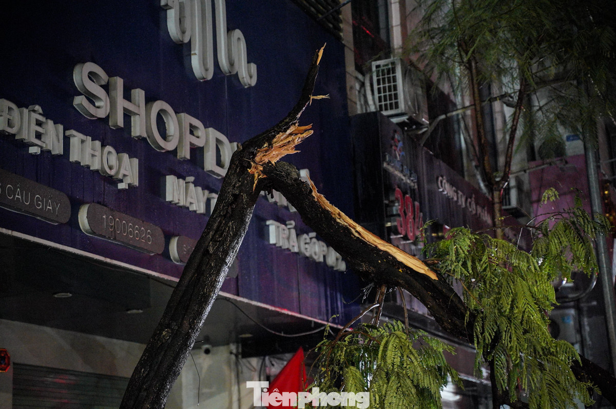 Cây xanh bị gãy tại làm đôi tại đường Cầu Giấy.