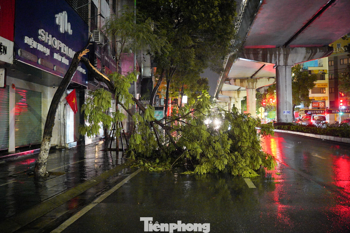 Khoảng từ 20h30 ngày 22/8, Hà Nội bắt đầu mưa giông, sấm sét, gió giật mạnh đã khiến nhiều cây xanh Hà Nội gãy đổ.