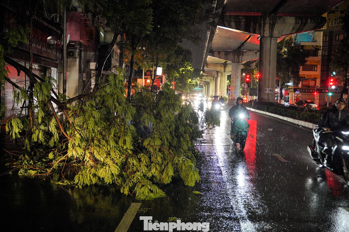 Trước đó, PV Tiền Phong có đưa tin rạng sáng 23/8, sau cơn mưa lớn từ đêm, một số cây xanh trên đường Hồ Tùng Mậu, Cầu Giấy cũng bật gốc, đổ ra đường... ảnh hưởng đến việc đi lại của người dân.