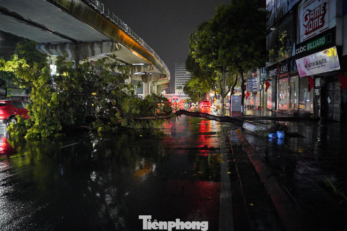 Trước đó, PV Tiền Phong có đưa tin rạng sáng 23/8, sau cơn mưa lớn từ đêm, một số cây xanh trên đường Hồ Tùng Mậu, Cầu Giấy cũng bật gốc, đổ ra đường... ảnh hưởng đến việc đi lại của người dân.