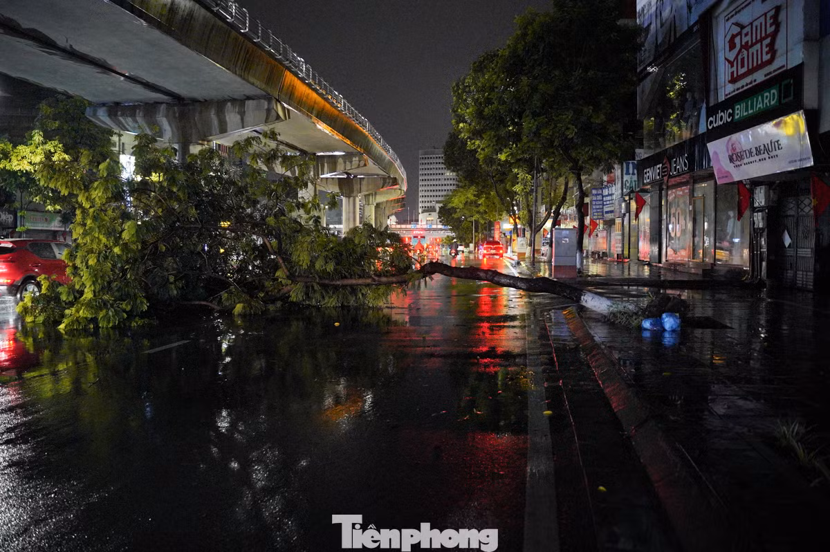 Trước đó, PV Tiền Phong có đưa tin rạng sáng 23/8, sau cơn mưa lớn từ đêm, một số cây xanh trên đường Hồ Tùng Mậu, Cầu Giấy cũng bật gốc, đổ ra đường... ảnh hưởng đến việc đi lại của người dân.