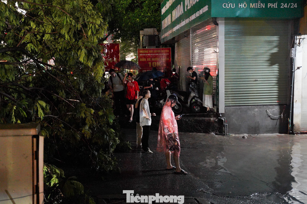 Cây đổ chắn hết đường vào ngõ Trần Bình.