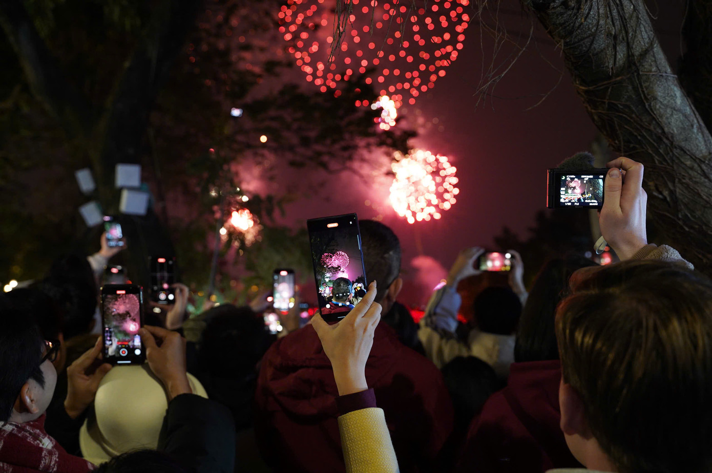 Pháo hoa rực sáng đón năm mới Ất Tỵ an lành, thịnh vượng ảnh 176 Pháo hoa rực sáng đón năm mới Ất Tỵ an lành, thịnh vượng ảnh 176
