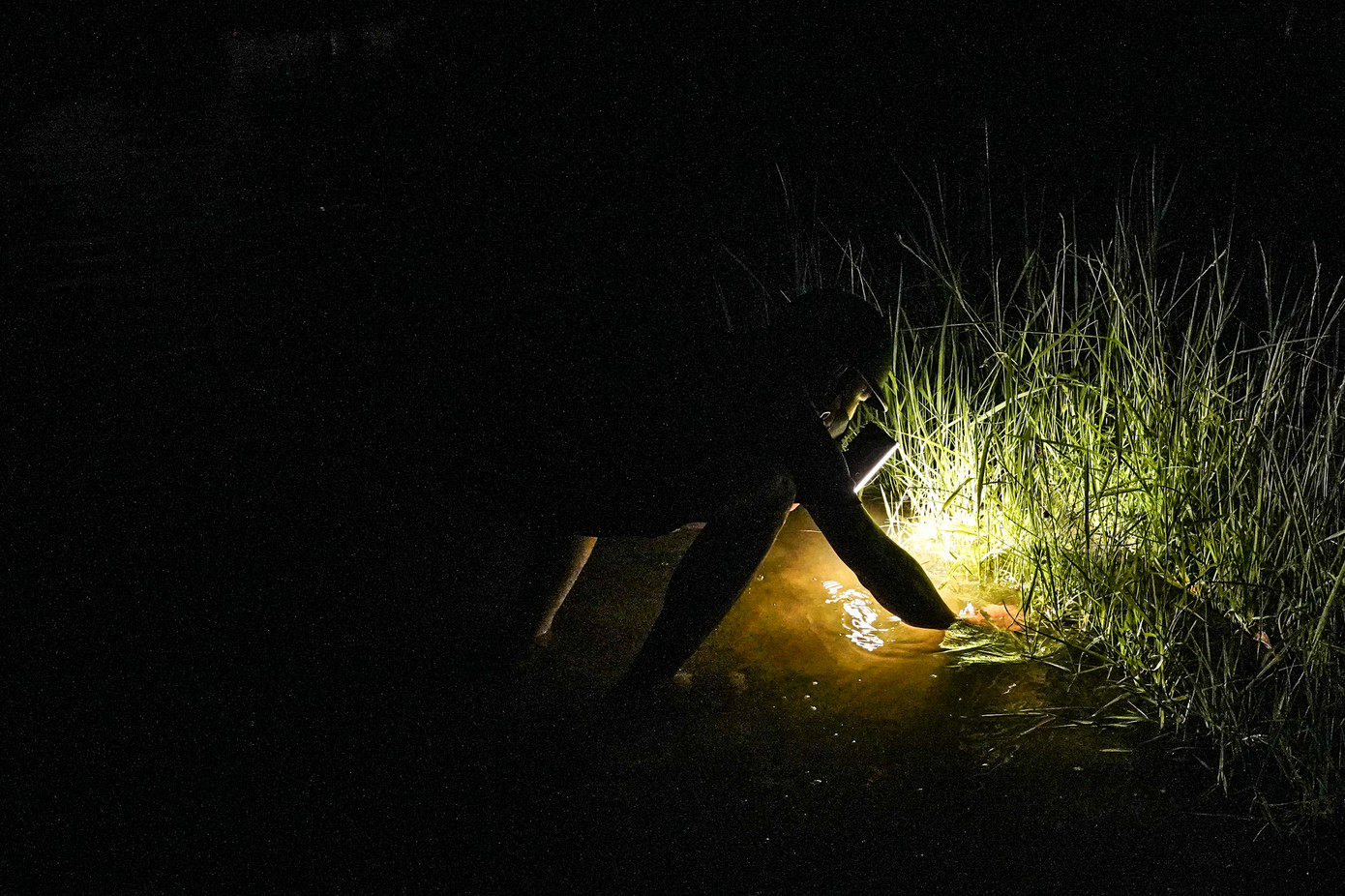 Anh Nguyễn Tuấn Anh (Nam Từ Liêm) dùng đèn pin soi nước để bắt cá. “Mình bắt cho vui thôi, đi dạo thấy nước ngập nên tiện thể nghịch một chút".