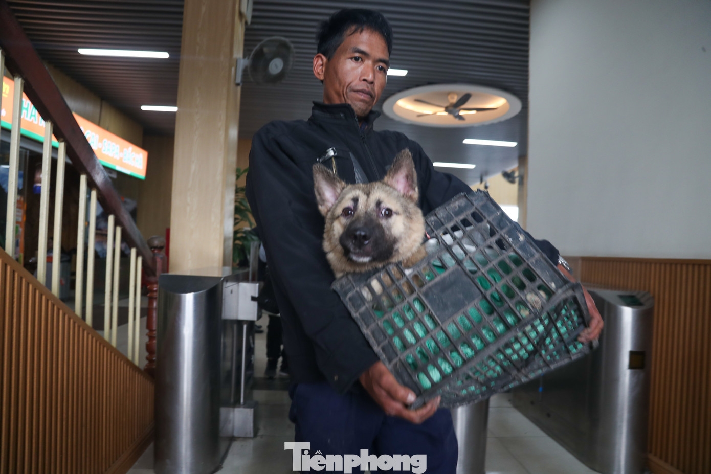 Anh Lê Khánh (quê Lào Cai) chia sẻ: "Năm nay tôi về quê hẳn nên mang cả chú chó về cùng". Anh Lê Khánh (quê Lào Cai) chia sẻ: "Năm nay tôi về quê hẳn nên mang cả chú chó về cùng".
