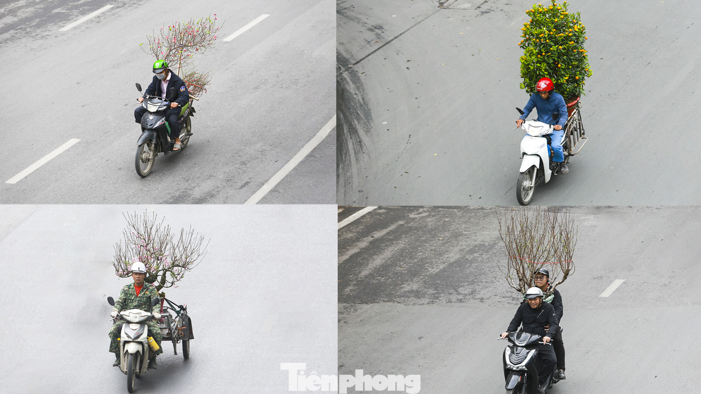 Không khó để bắt gặp cảnh người dân hối hả vận chuyển đào, quất... di chuyển trên đường phố Thủ đô những ngày này.