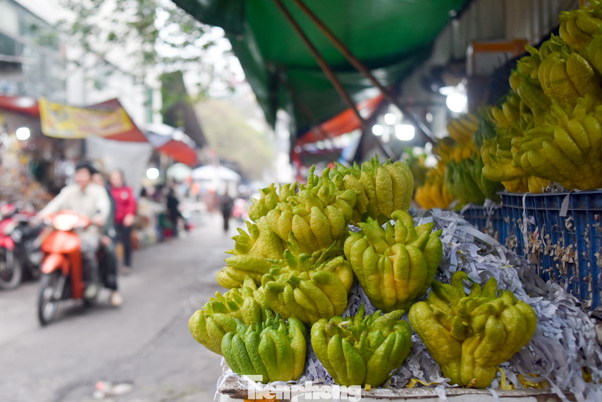 Tại các khu chợ quả Phật thủ có hình như bàn tay của Phật dùng trưng Tết đang được bày bán với giá từ 100.000 - 300.000 đồng/quả. Tại các khu chợ quả Phật thủ có hình như bàn tay của Phật dùng trưng Tết đang được bày bán với giá từ 100.000 - 300.000 đồng/quả.
