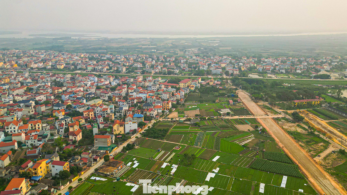 Dự kiến sau khi đi vào hoạt động, cây Hồng Hà sẽ là một phần quan trọng giúp kết nối giao thông đi lại từ huyện Đan Phượng tới huyện Mê Linh, giảm tải mật độ giao thông qua lại trên cầu Thăng Long. Đây là một trong những mắt xích quan trọng thuộc tuyến đường Vành đai 4 Hà Nội.