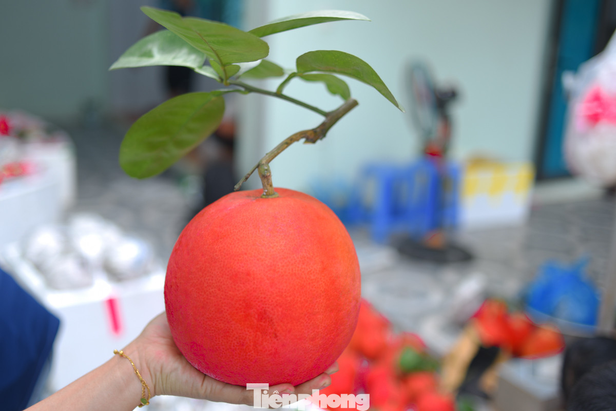 Đặc thù bưởi Đông Cao có màu sắc đỏ từ ruột ra ngoài vỏ, mùi thơm dễ chịu, múi bưởi mọng nước và ngọt dịu nên được nhiều người tìm mua dùng để cúng Tết hoặc làm quà biếu Tết.