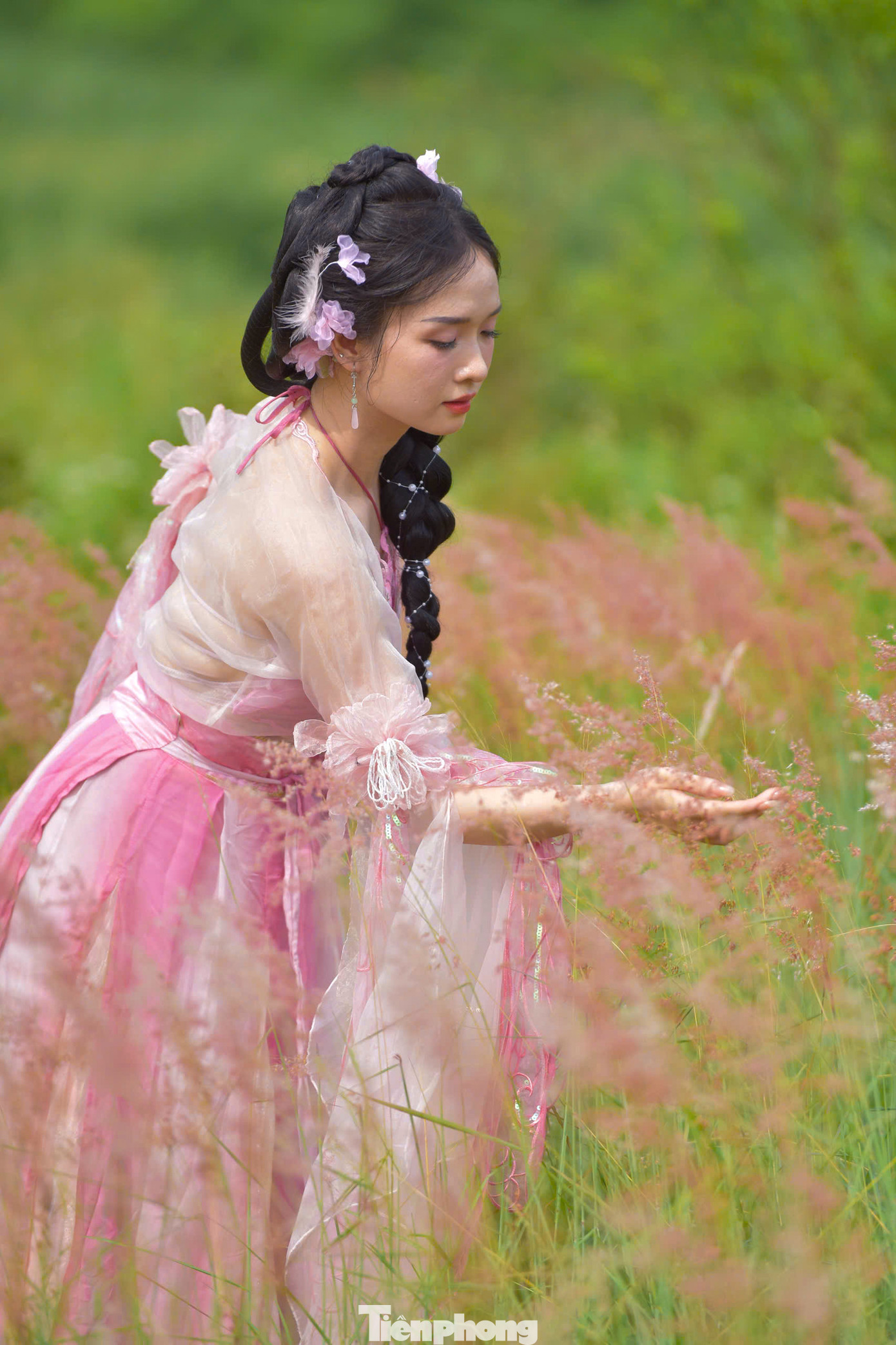 Các bạn trẻ hào hứng check-in, chụp ảnh bên bãi cỏ hồng rực rỡ, nổi bật trên nền cầu Long Biên cổ kính.