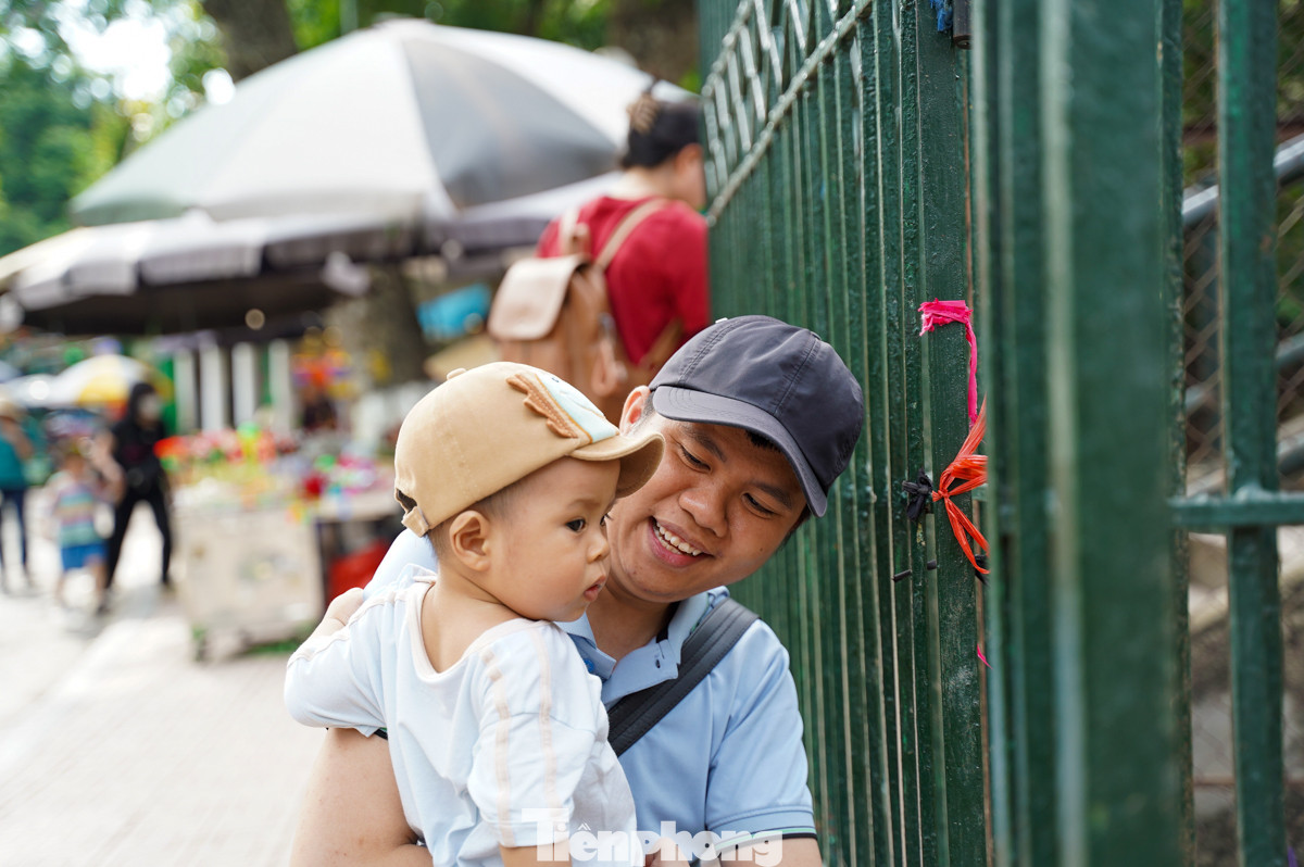 Các bạn nhỏ thích thú khi được tham quan trong công viên, cho động vật ăn...