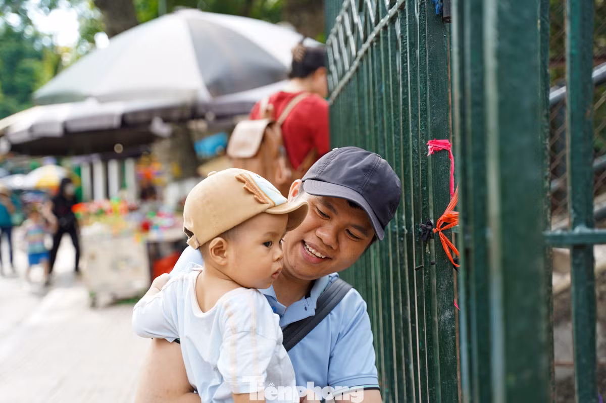 Các bạn nhỏ thích thú khi được tham quan trong công viên, cho động vật ăn...