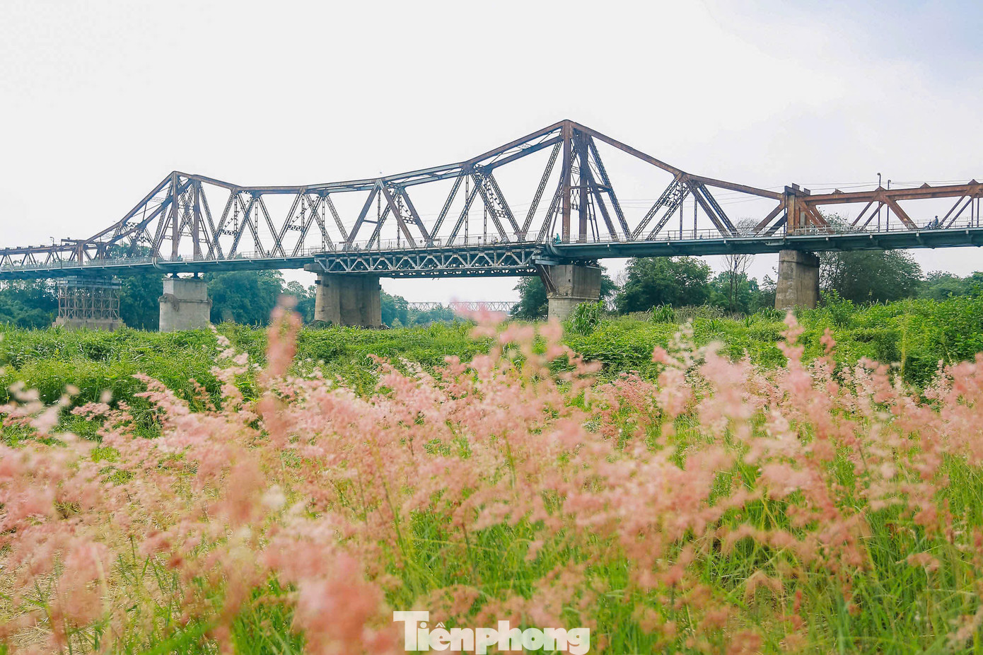 Trước đây, khu vực này chỉ là một khoảng đất rộng, sau đó được người dân cải tạo, trồng hoa và cỏ... nhằm làm đẹp cảnh quan, tạo điểm nhấn ấn tượng cho không gian rộng lớn.