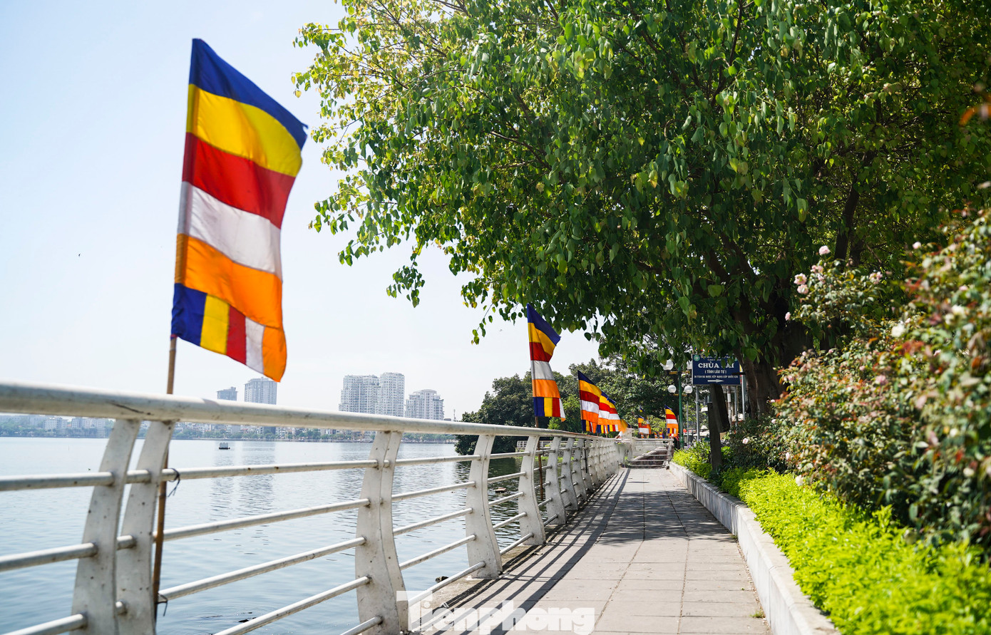 Cờ Phật được treo dọc hành lang Hồ Tây, gần đường vào chùa Trấn Quốc.
