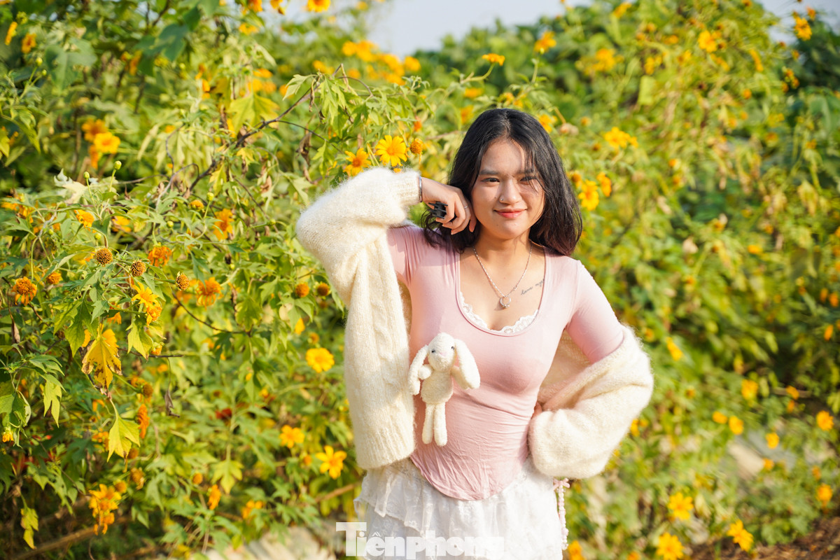 "Mình rất thích hoa dã quỳ ở Ba Vì, ngoài ngắm hoa, mình sẽ đi một số địa điểm khác gần đây để vui chơi cuối tuần", bạn nữ chia sẻ.