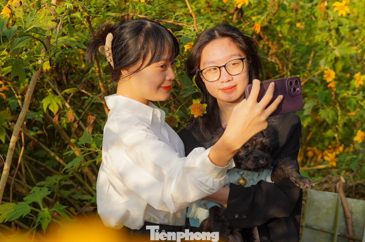 Chị Yến và em gái từ Vĩnh Phúc đã đến vườn quốc gia Ba Vì để chụp ảnh với hoa dã quỳ. Tối qua, hai chị em đã nghỉ lại tại một khách sạn dưới chân núi để hôm nay kịp đi sớm. "Tôi xem các video về hoa dã quỳ trên mạng và rất thích nên quyết đi săn bằng được", chị Yến chia sẻ.